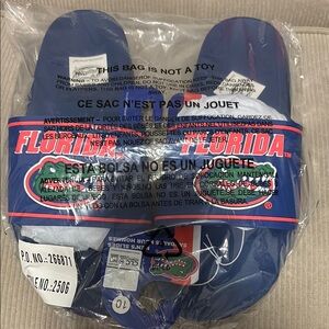 Florida Gators Blue Slide Sandals